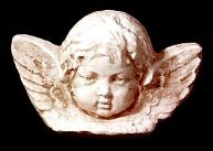 CHerub Head